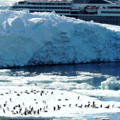 L’Antarctique vous plonge dans un décor irréel