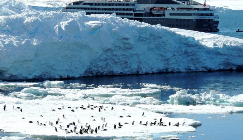 Croisière ponant en Antarctique : les avantages de cette expédition de luxe