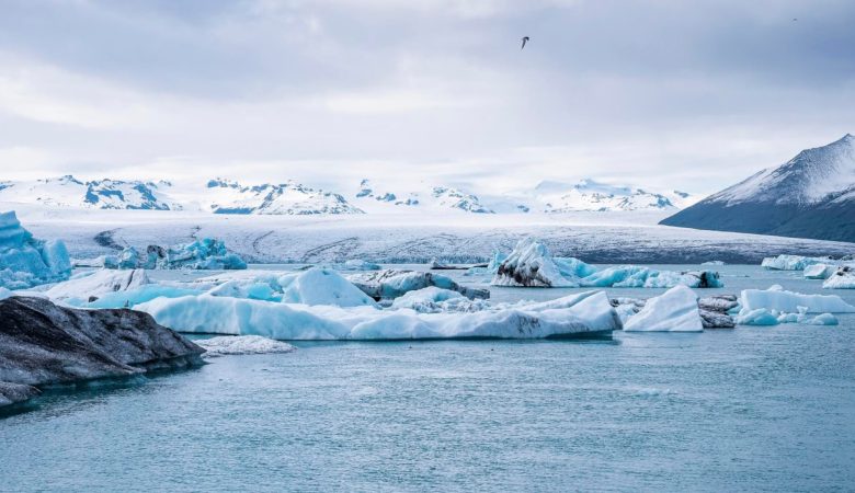 Comment réserver une croisière en antarctique au meilleur prix ?