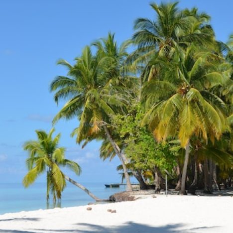 Expédition exclusive : croisière de luxe entre banquises et icebergs !