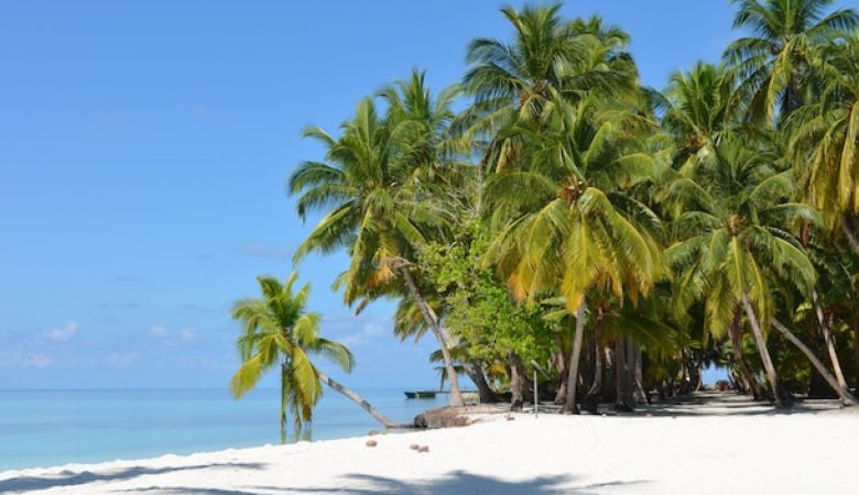 Le guide ultime pour une croisière réussie aux Caraïbes