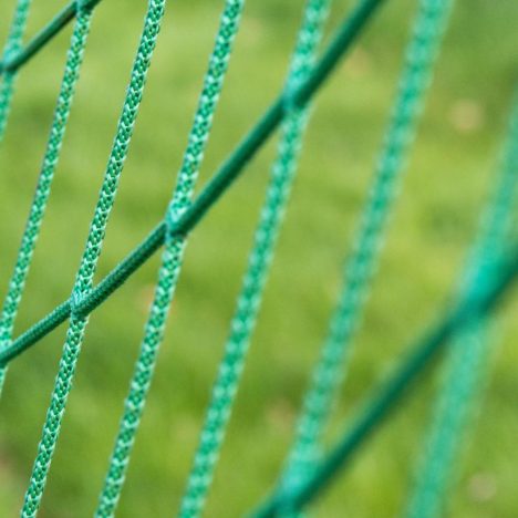 Croisière immersive : quand le voyage devient une expérience unique